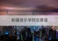 新疆音乐学院在哪里(新疆音乐学院好不好)