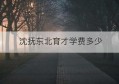 沈抚东北育才学费多少