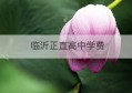 临沂正直高中学费(临沂市高中录取分数线2022)