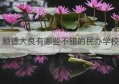 顺德大良有哪些不错的民办学校(大良民办小学排名)