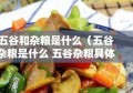 五谷和杂粮是什么（五谷杂粮是什么 五谷杂粮具体指的是什么）