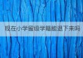 现在小学留级学籍能退下来吗(现在小学留级学籍能退下来吗高中)