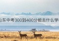 山东中考300到400分能去什么学校(山东中考300到400分能去什么学校上高中)