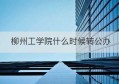 柳州工学院什么时候转公办(皖江工学院是公办还是民办)