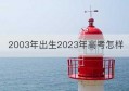 2003年出生2023年高考怎样(2003年高考的人属啥的)