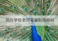 民办学校老师有编制指标吗(民办学校老师是否有编制)