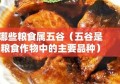 哪些粮食属五谷（五谷是粮食作物中的主要品种）