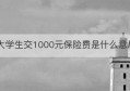 大学生交1000元保险费是什么意思(豁免保险费重大疾病保险是什么意思)