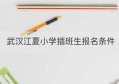 武汉江夏小学插班生报名条件(深圳小学插班生申请什么时候开始)