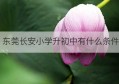 东莞长安小学升初中有什么条件(2021年东莞长安小学入学报名)