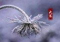 大寒可以做些什么(大寒时节人们做什么)