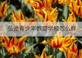 弘德青少年教育学校怎么样(衡水弘德青少年教育学校电话)