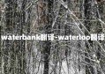 waterbank翻译-waterloo翻译