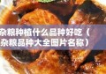 杂粮种植什么品种好吃（杂粮品种大全图片名称）