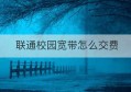 联通校园宽带怎么交费(联通校园宽带业务办理)