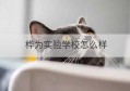 桦为实验学校怎么样