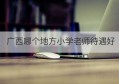 广西哪个地方小学老师待遇好(广西地方金融监管局官网)