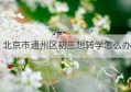 北京市通州区初三想转学怎么办(北京初三可以转学籍吗)