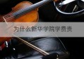 为什么新华学院学费贵(在职研究生学费一览表)