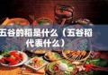 五谷的稻是什么（五谷稻代表什么）