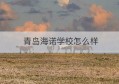 青岛海诺学校怎么样(青岛海诺国际双语学校)