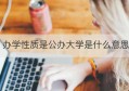 办学性质是公办大学是什么意思(小学办学性质)