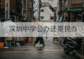 深圳中学公办还是民办(深圳北大附中是公办还是民办)