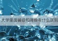 大学里面留级和降级有什么区别(大学留级有什么影响 是否会进档案)