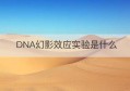 DNA幻影效应实验是什么(证明dna半保留复制的实验)