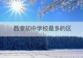 西安初中学校最多的区(西安初中学校排名榜)