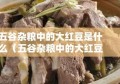 五谷杂粮中的大红豆是什么（五谷杂粮中的大红豆是什么豆）