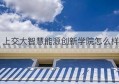 上交大智慧能源创新学院怎么样(上交智慧能源创新学院调剂)