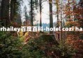 hotelarthurhailey百度百科-hotel cozi harbour view