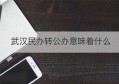 武汉民办转公办意味着什么(武汉工程大学是公办还是民办)