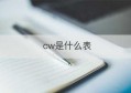 cw是什么表(cw是什么牌子的表)