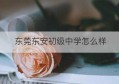 东莞东安初级中学怎么样(东莞市东安中学怎么样)