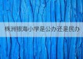 株洲银海小学是公办还是民办(株洲银海学校学费一年多少钱)