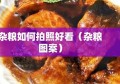 杂粮如何拍照好看（杂粮图案）