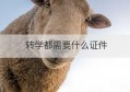 转学都需要什么证件(转学需要什么证件手续)