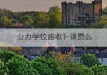 公办学校能收补课费么(省属公办学校能开公司吗)