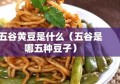 五谷黄豆是什么（五谷是哪五种豆子）