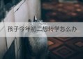 孩子今年初二想转学怎么办(初一转学和初二转学的区别)