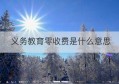 义务教育零收费是什么意思