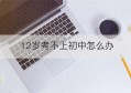 12岁考不上初中怎么办(孩子12岁到新加坡读初中怎么办)