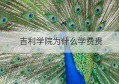 吉利学院为什么学费贵(成都吉利学院官网)