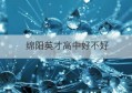 绵阳英才高中好不好(绵阳英才学校官网)