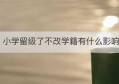 小学留级了不改学籍有什么影响(小学学籍没办会留级吗)