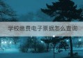 学校缴费电子票据怎么查询(个人电子票据查询平台)