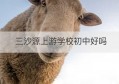 三沙源上游学校初中好吗