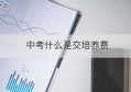 中考什么是交培养费(初中培养费每学期都要交吗)